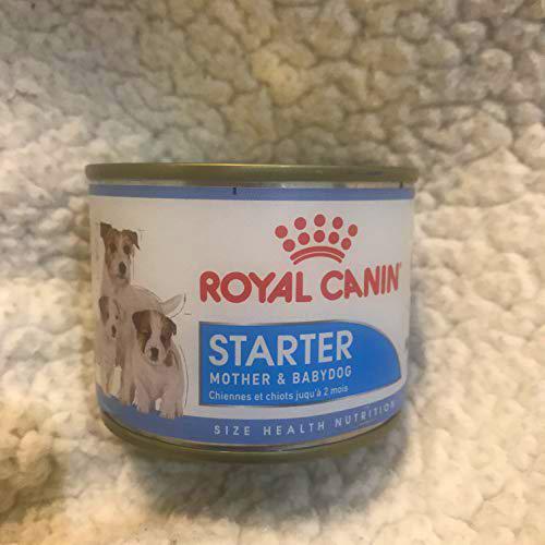 Royal Canin - Royal Canin Starter Mousse - 195 g